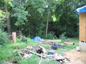 renovatin' is hard on the landscaping--what will be my bird-filled backyard sanctuary